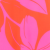 PITAYA/ TOMATE