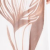 CAMELO/BG PO